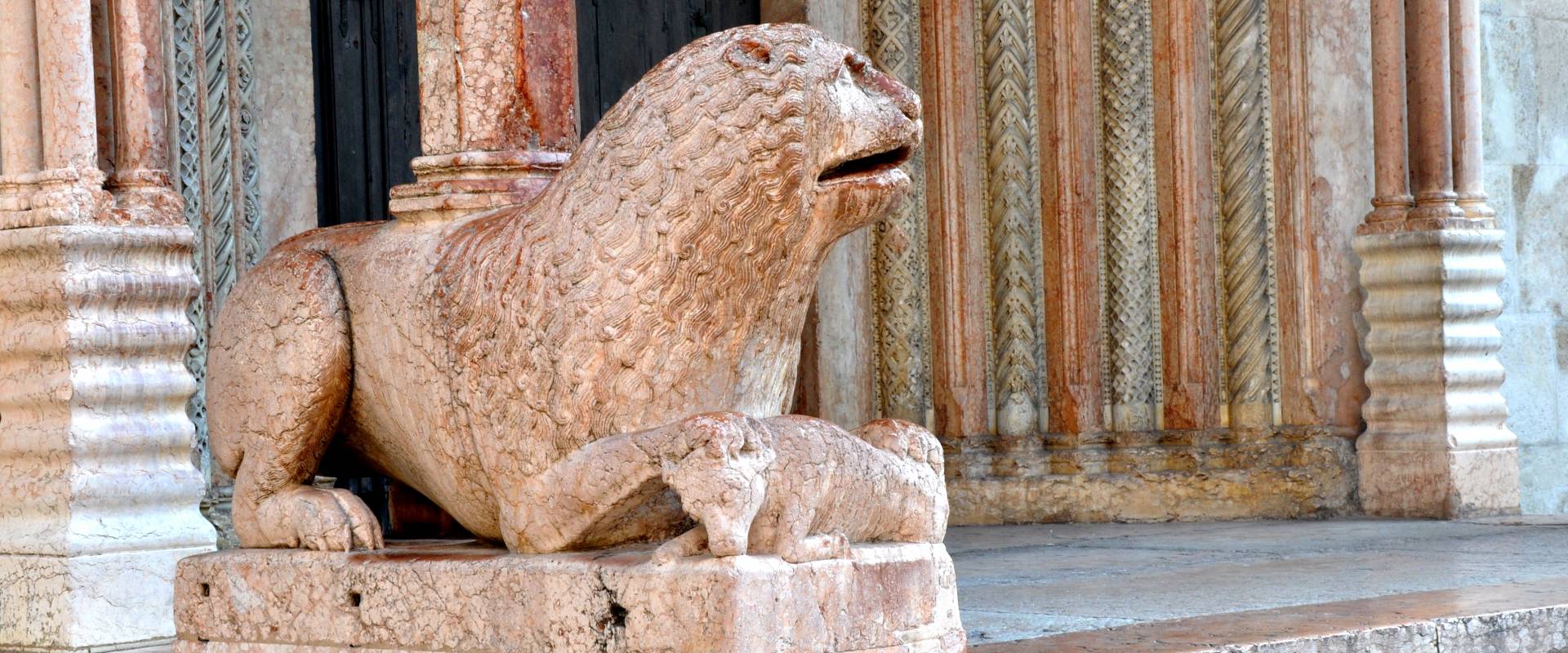 Uno dei leoni stilofori della Porta Regia Duomo di Modena foto di Chiara Salazar Chiesa